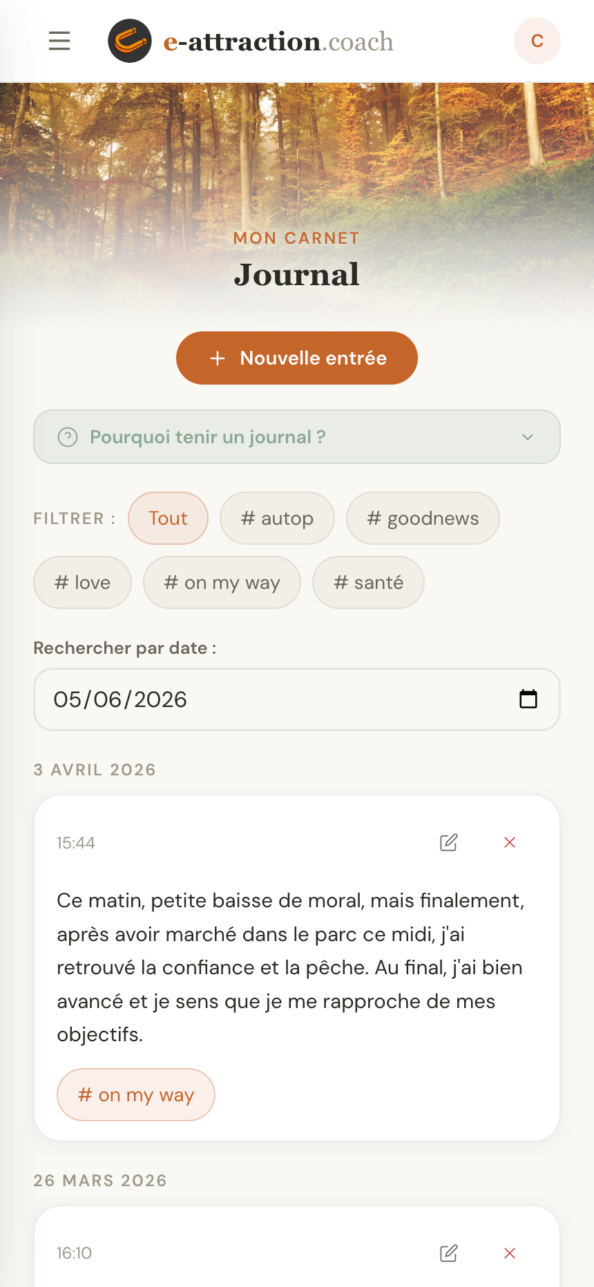 Journal de pratique